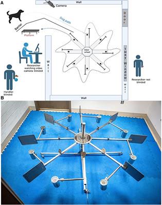 Dogs can detect an odor profile associated with Staphylococcus aureus biofilms in cultures and biological samples